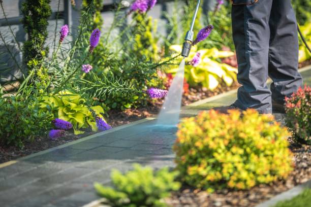 Best Patio and Deck Pressure Washing  in Rockton, IL