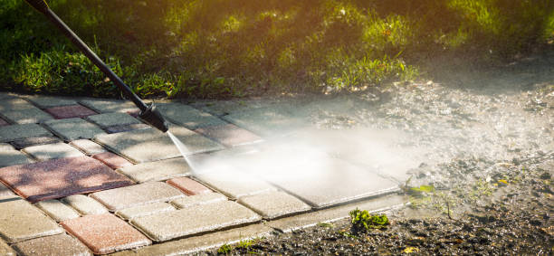 Best Sidewalk and Walkway Cleaning  in Rockton, IL